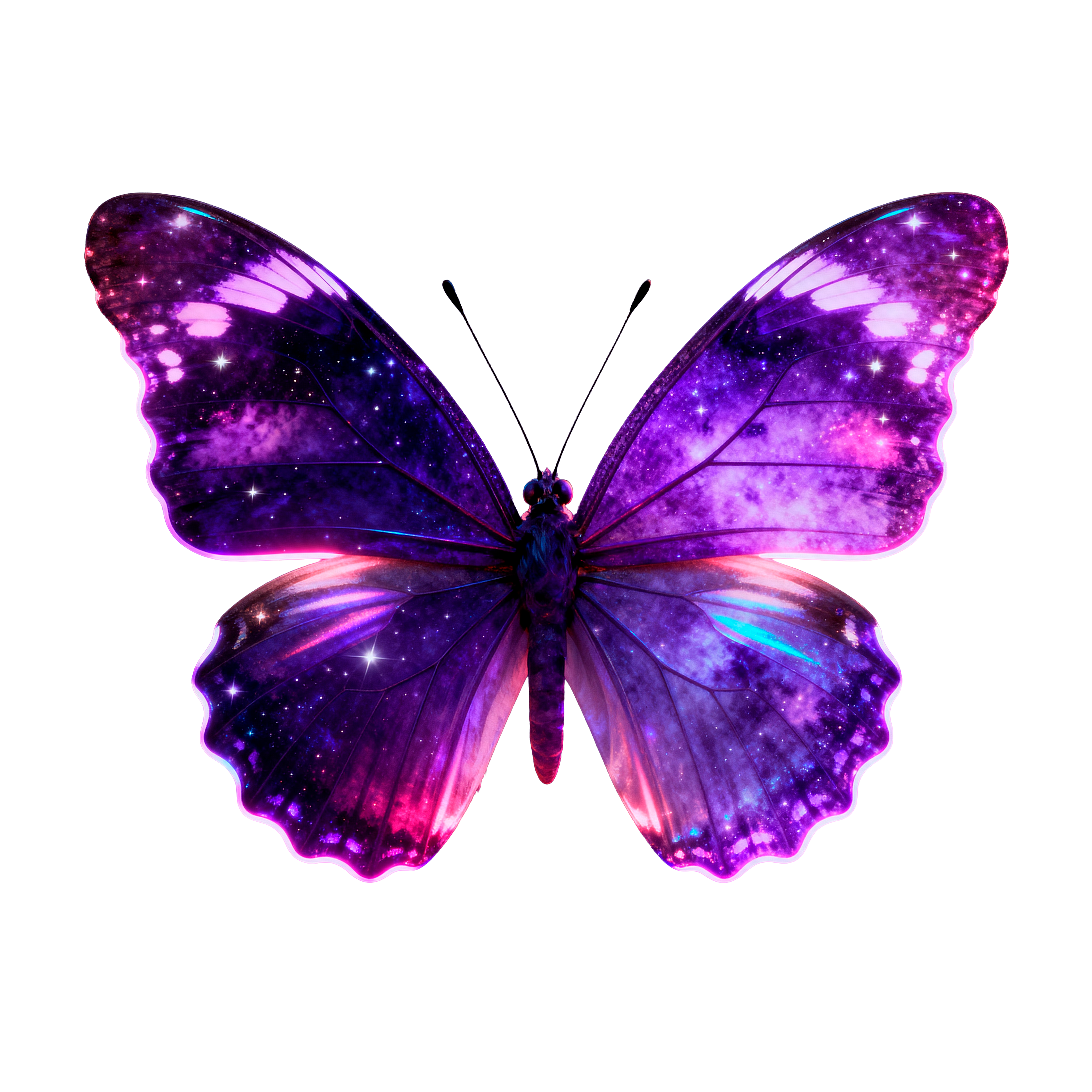 butterfly